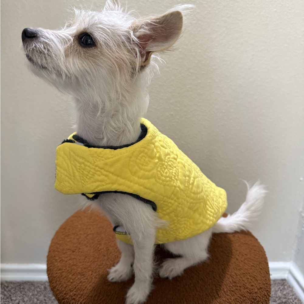 Yellow Quilted Dog Vest